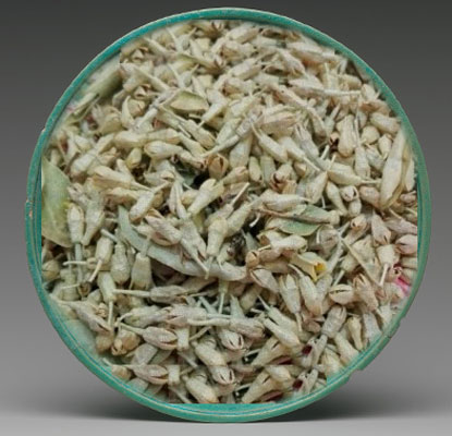 شکوفه سنجد (۵۰گرم)